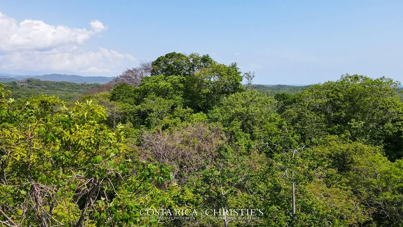 Senderos, Tamarindo, Guanacaste Province, Costa Rica. - Photo 7