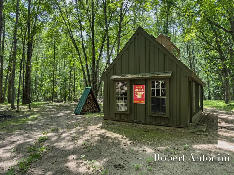 4751 S Johnson Road, Gowen, MI 49326, Greenville, Michigan, United States. - Photo 46