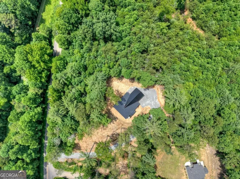 2461 Salem Road, Mineral Bluff, GA 30559, Mineral Bluff, Georgia, United States. - Photo 34