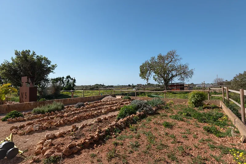 07620 Llucmajor, Balearic Islands, Spain, Llucmajor, Balearic Islands, Spain. - Photo 19