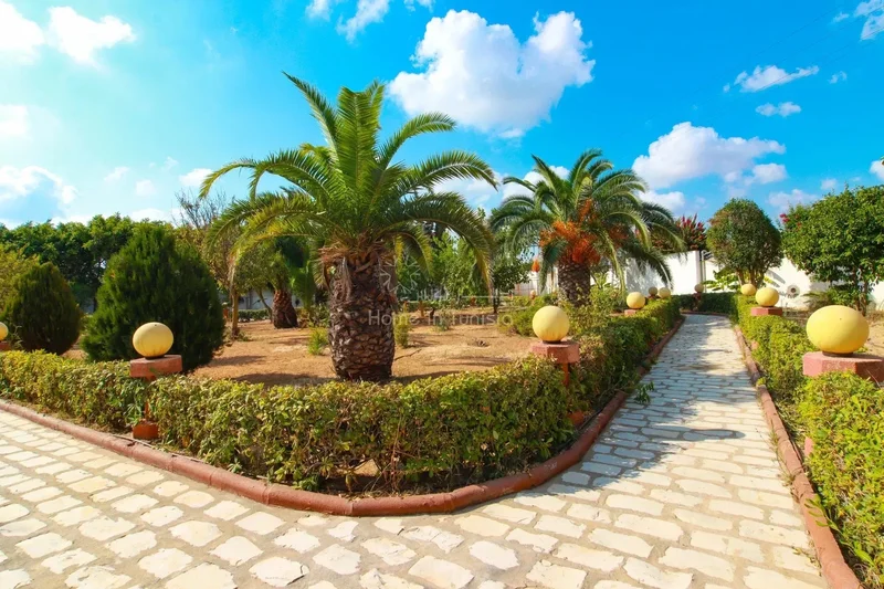 Sidi Thabet, Ariana, Tunisia. - Photo 3