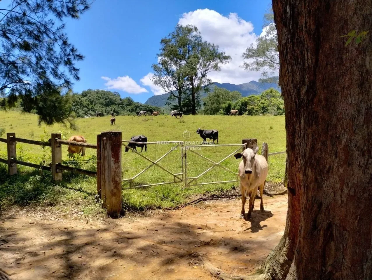 Arapeí, State of São Paulo, Brazil. - Photo 16