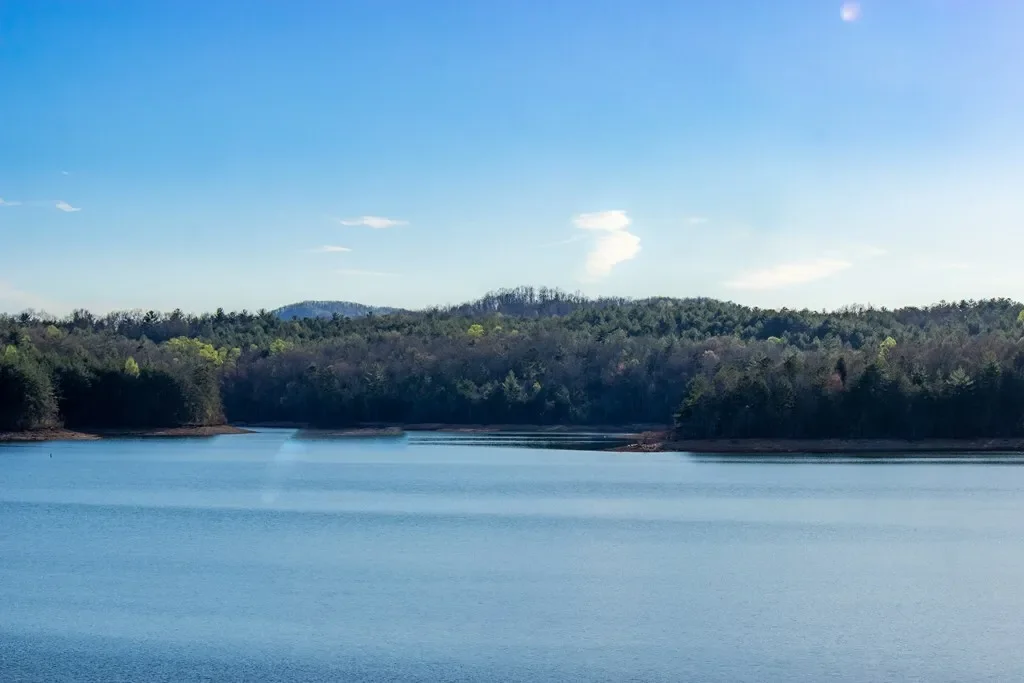 41AC Loving Road, Blairsville, Georgia, United States. - Photo 28