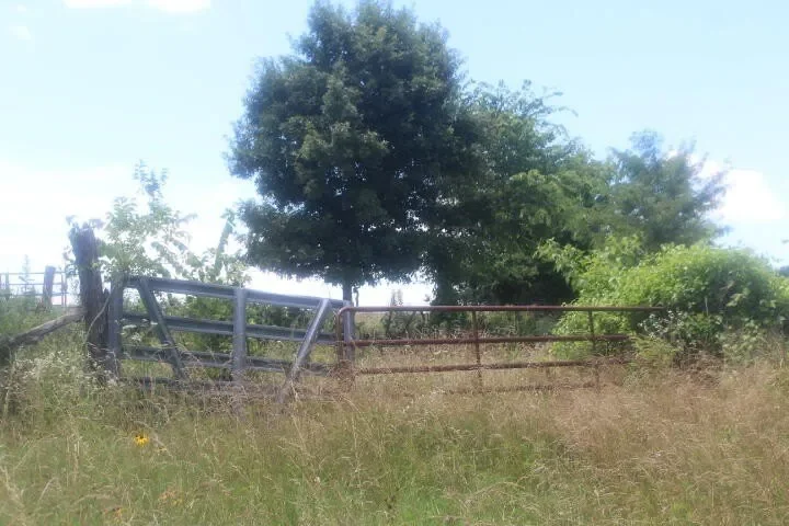 3176 S 170th Road, Polk, MO 65727, Bolivar, Missouri, United States. - Photo 8