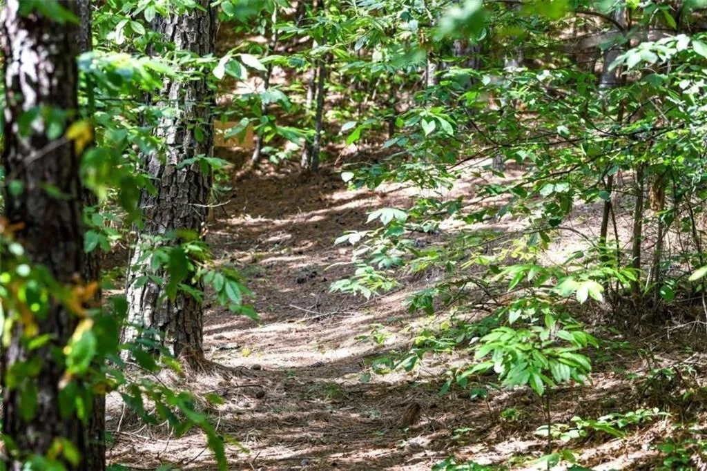 271 Postelle Road, Copperhill, Tennessee, United States. - Photo 20