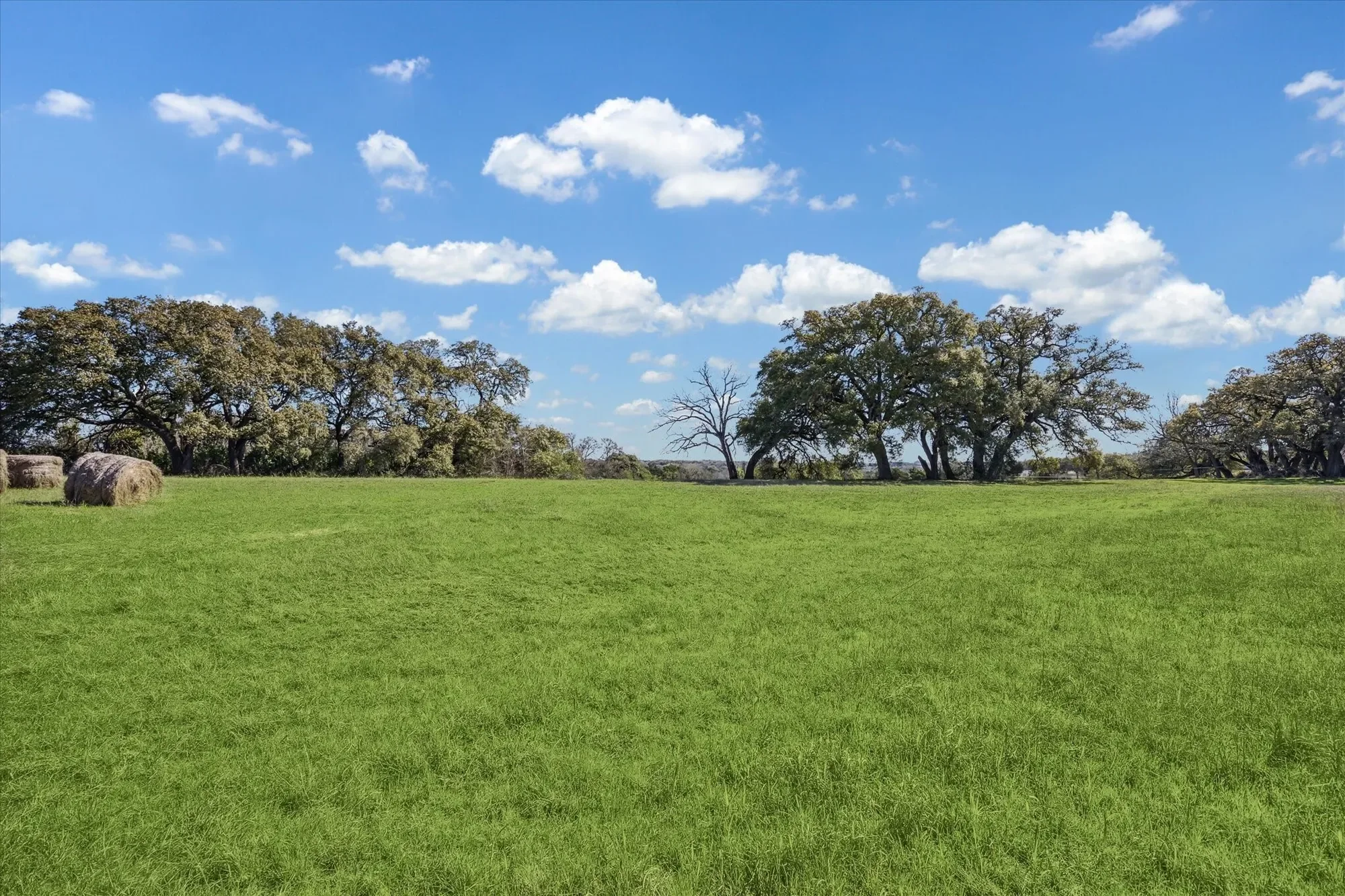 1118 Fm 1697, Burton, TX 77835, Burton, Texas, United States. - Photo 29