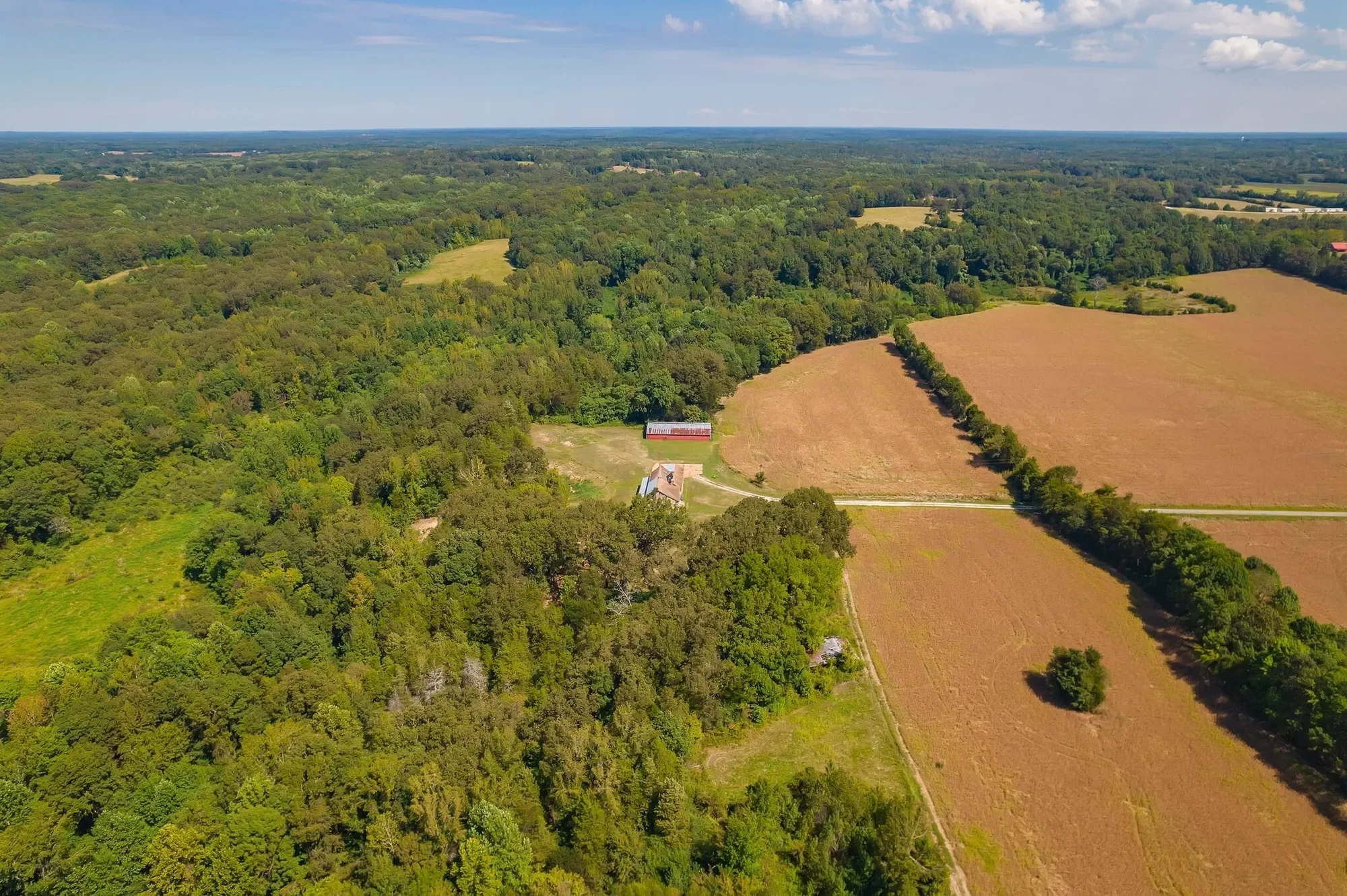 290 Leeford Ln , Cedar Grove, TN 38321, Cedar Grove, Tennessee, United States. - Photo 2