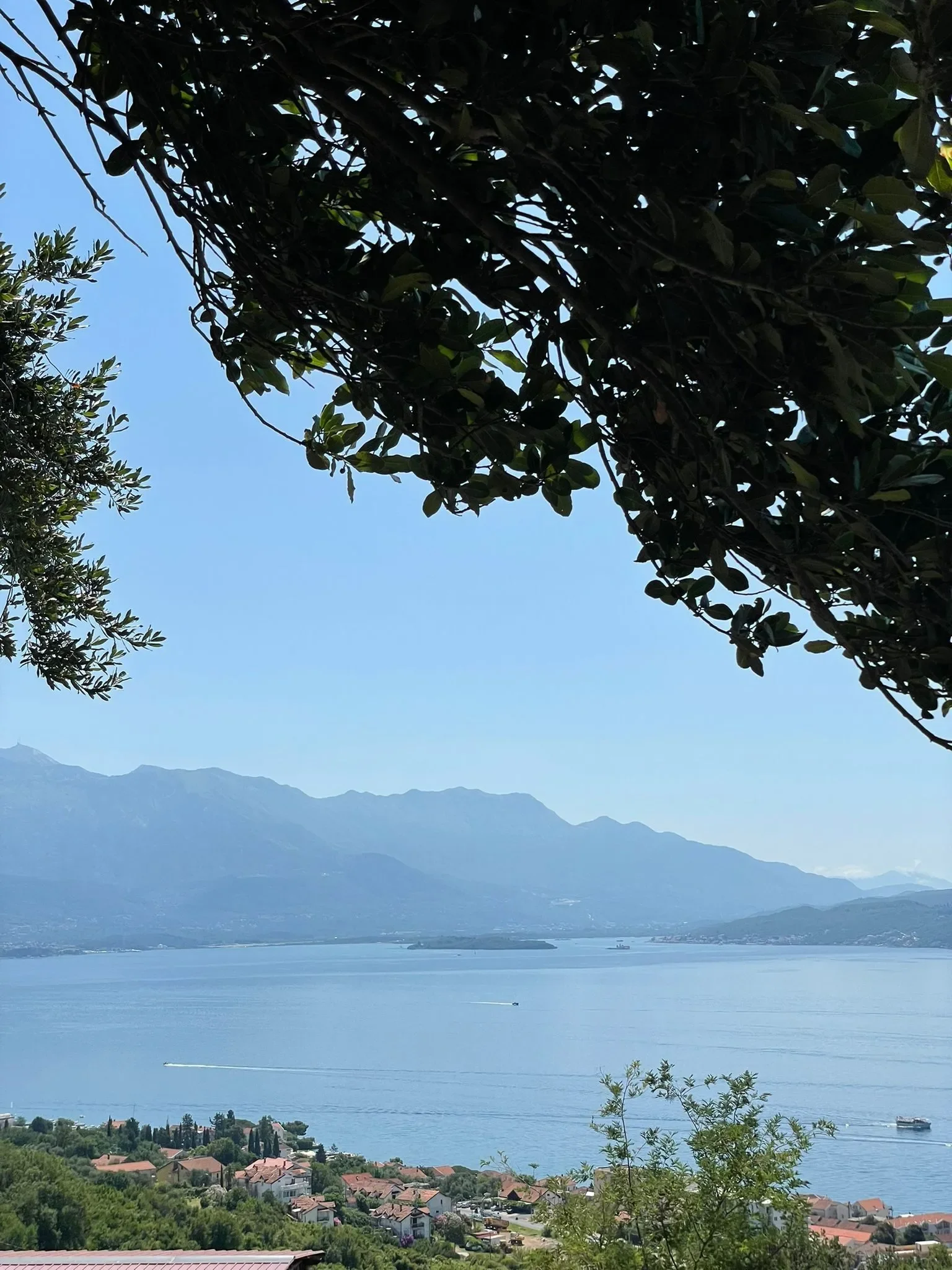 Herceg-Novi, Đenovići, Herceg Novi Municipality, Montenegro. - Photo 3