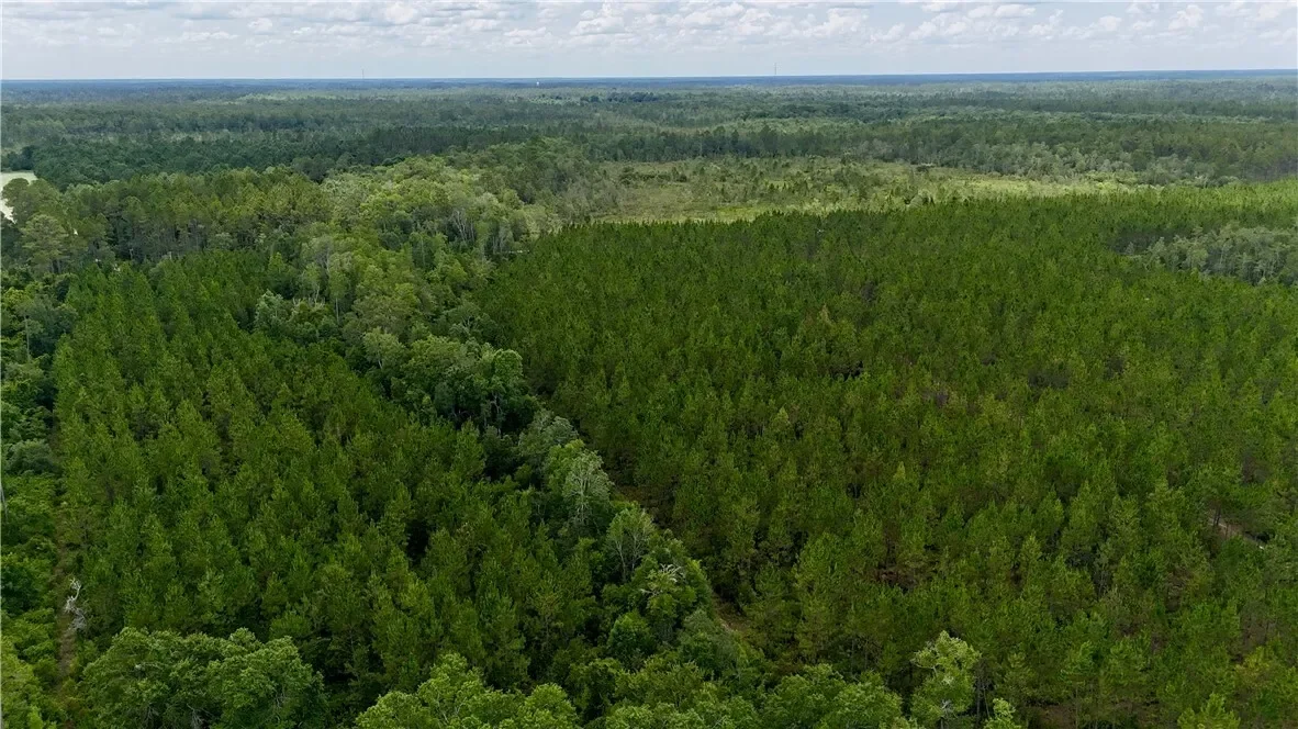 0 Fire Tower Road, Manor, GA 31550, Manor, Georgia, United States. - Photo 2