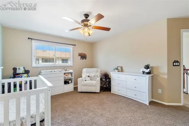 286 Luxury Lane, Colorado Springs, Colorado, United States. - Photo 21