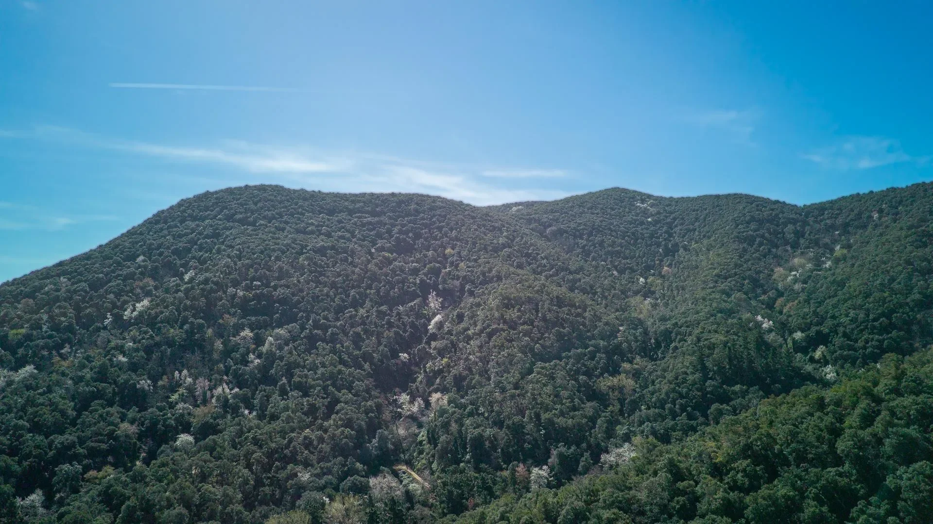 Hortsavinya, Tordera, BARCELONA, Tordera, Tordera, Catalonia, Spain. - Photo 37