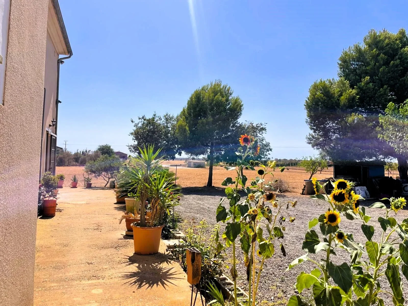 Campos, Mallorca, Campos, Campos, Balearic Islands, Spain. - Photo 12