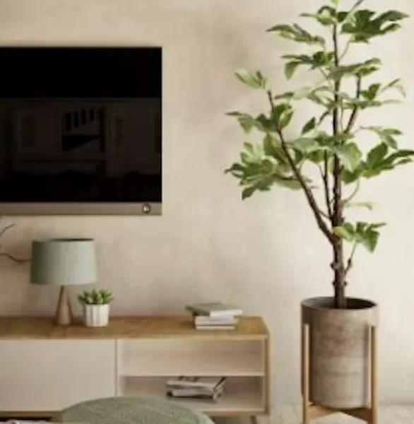 Gallery photo 8