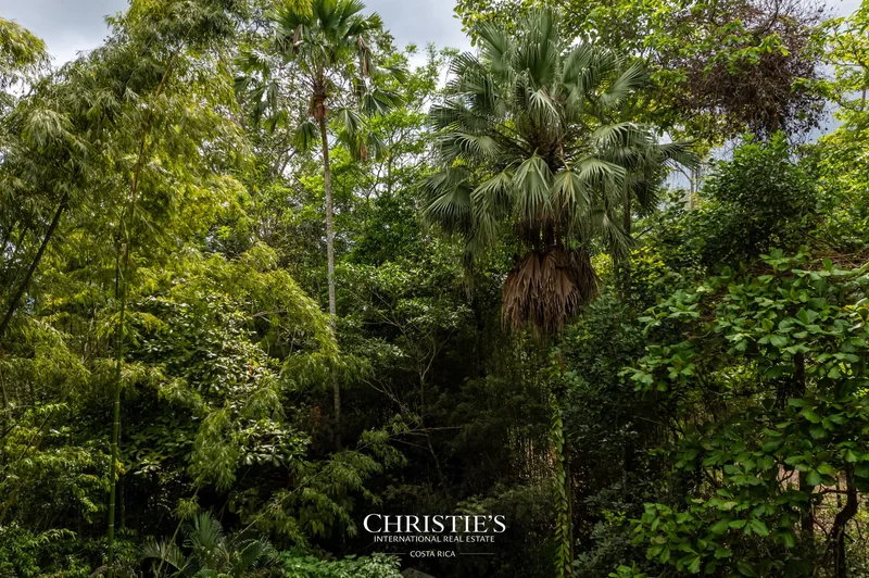 Puriscal, 239, San José Province, Costa Rica. - Photo 10