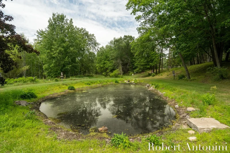 4751 S Johnson Road, Gowen, MI 49326, Greenville, Michigan, United States. - Photo 93