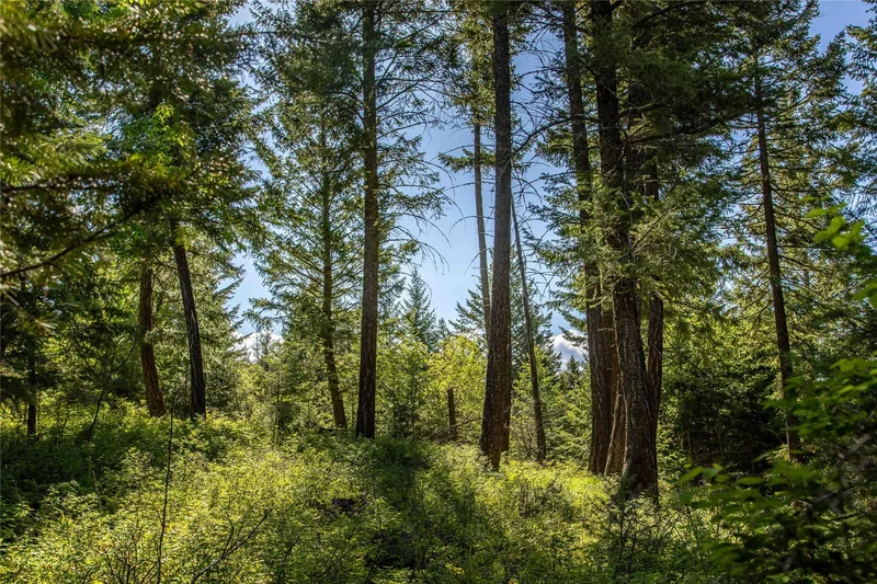 25 Starview Drive, Bigfork, MT 59911, Bigfork, Montana, United States. - Photo 19