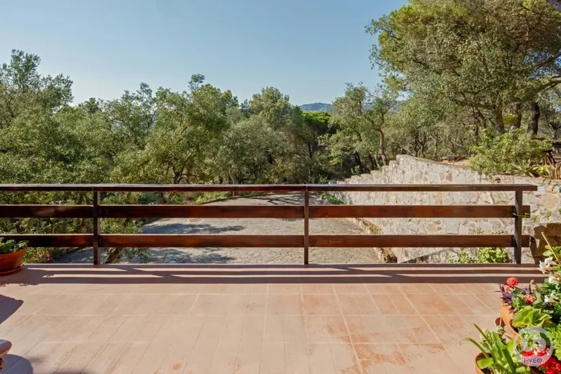 Catalonia, Sant Feliu de Guixols, Catalonia, Spain. - Photo 28