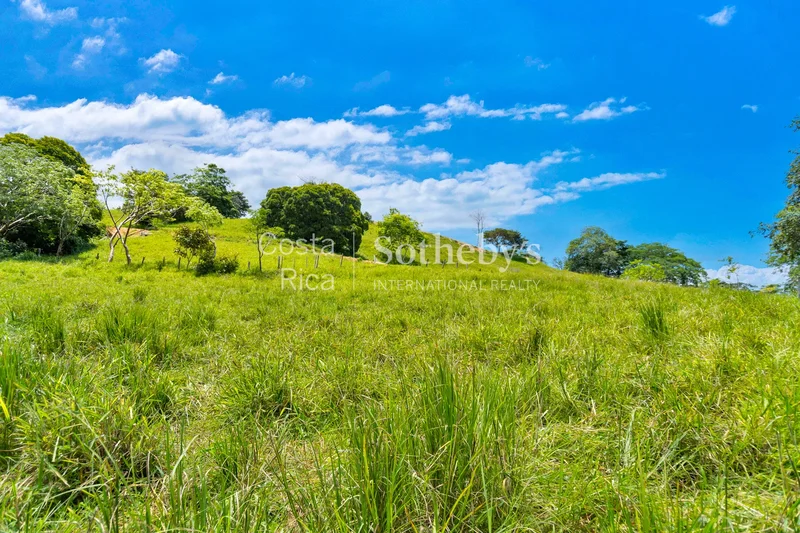 San Juan Grande, Esparza, P, San Juan Grande, Puntarenas Province, Costa Rica. - Photo 17