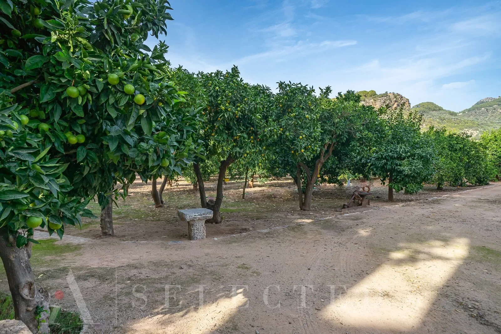 Property photo 12