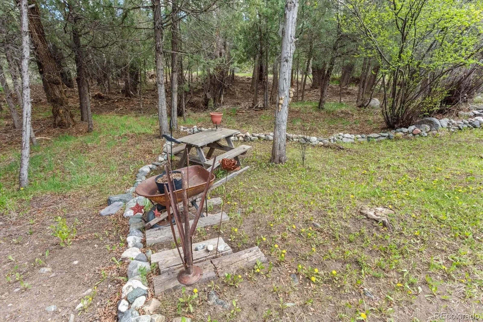 Gallery photo 4