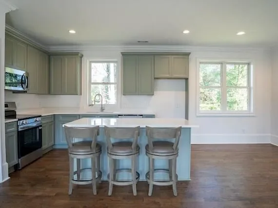 201 Westminster Drive, Athens, Georgia, United States. - Photo 61