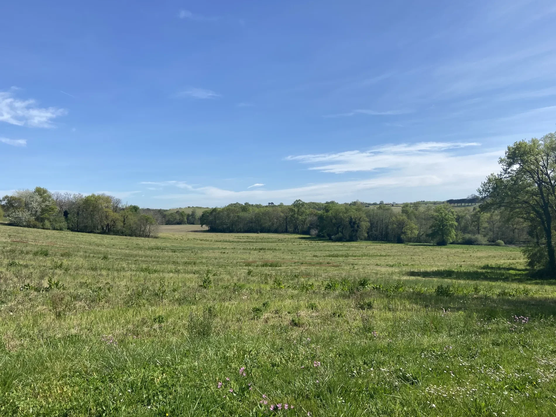 Labastide-d'Armagnac, Nouvelle-Aquitaine, France. - Photo 14