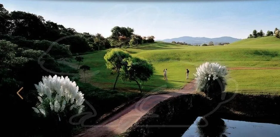 Gallery photo 6