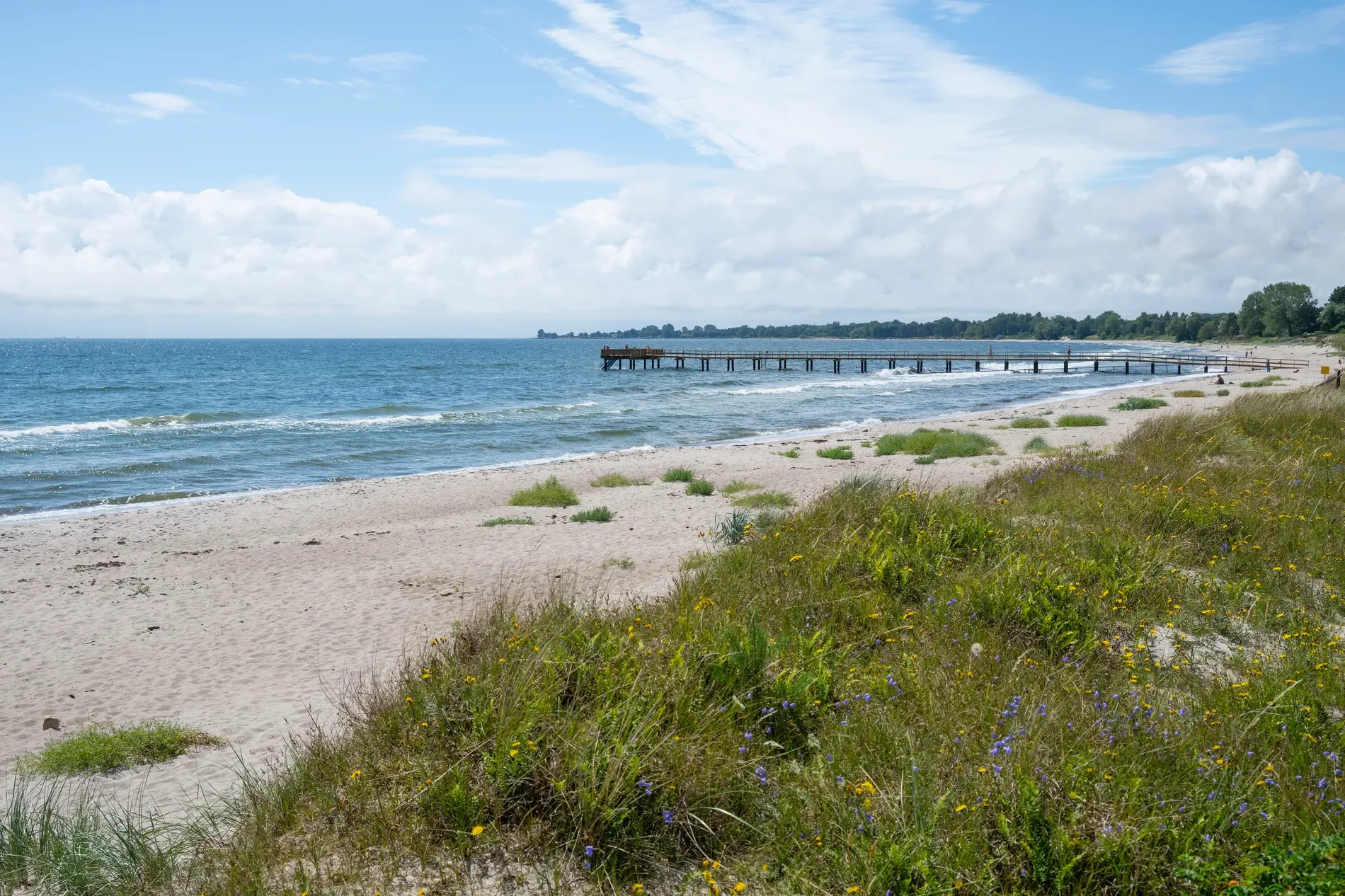 Mossby 1312, Skivarp, M, Mossby, Skåne County, Sweden. - Photo 43