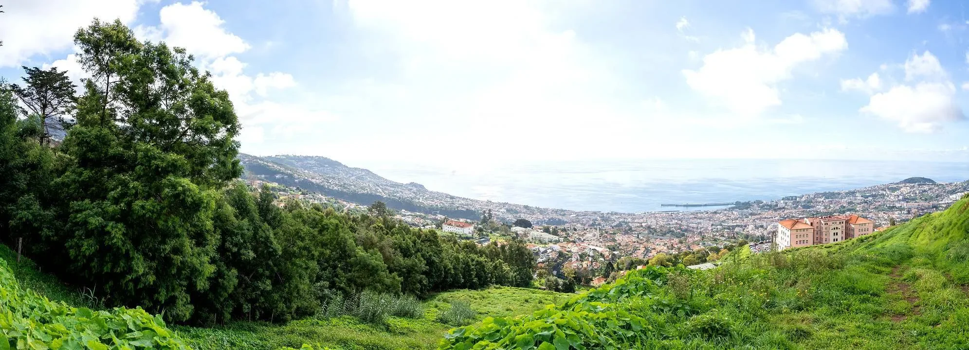 Funchal, Madeira, Funchal, Se, Madeira, Portugal. - Photo 6