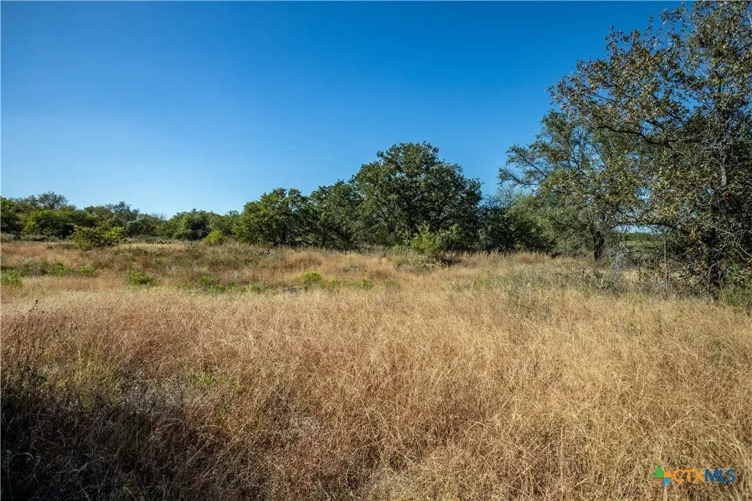 21123 Lamm Road, Elmendorf, TX 78112, Elmendorf, Texas, United States. - Photo 30