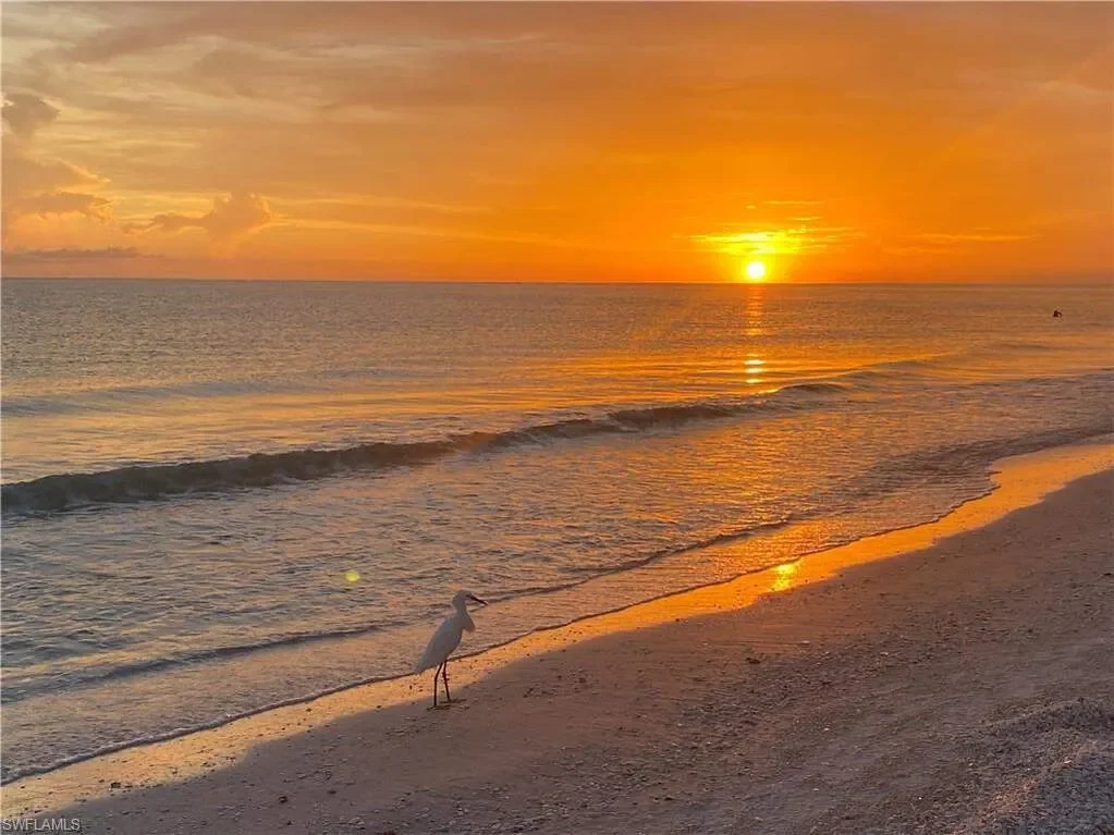 1429 Collingswood AVE, Marco Island, FL, 34145, USA, Marco Island, Florida, United States. - Photo 34
