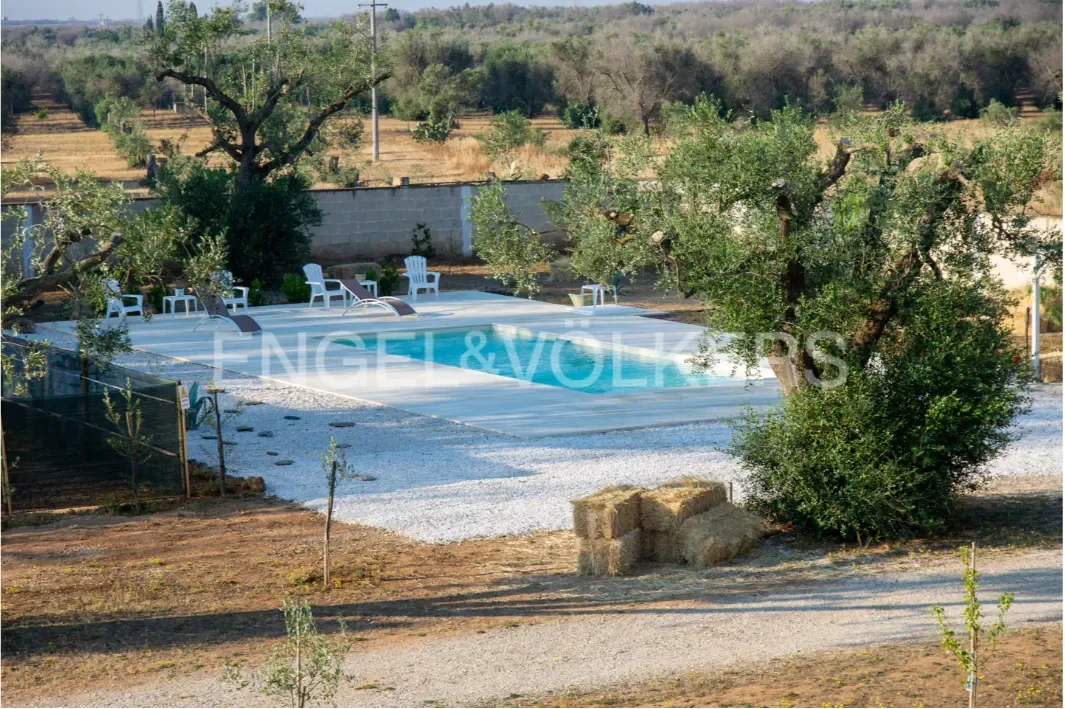 72020 Torchiarolo, BR, Italy, Torchiarolo, Apulia, Italy. - Photo 1