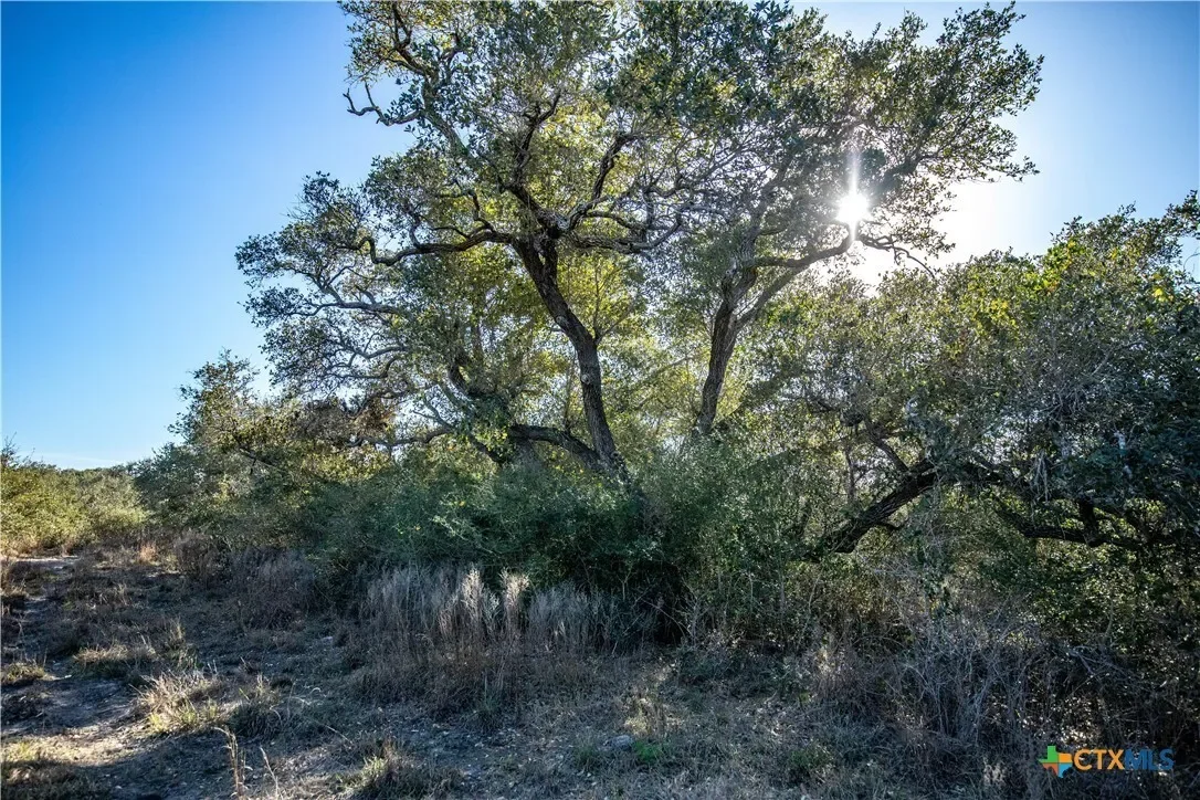 6498 Hwy 35 N, Rockport, TX 78382, Rockport, Texas, United States. - Photo 36