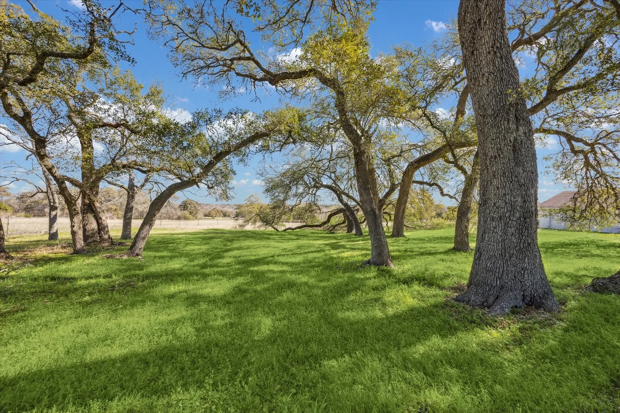 1118 Fm 1697, Burton, TX 77835, Burton, Texas, United States. - Photo 26