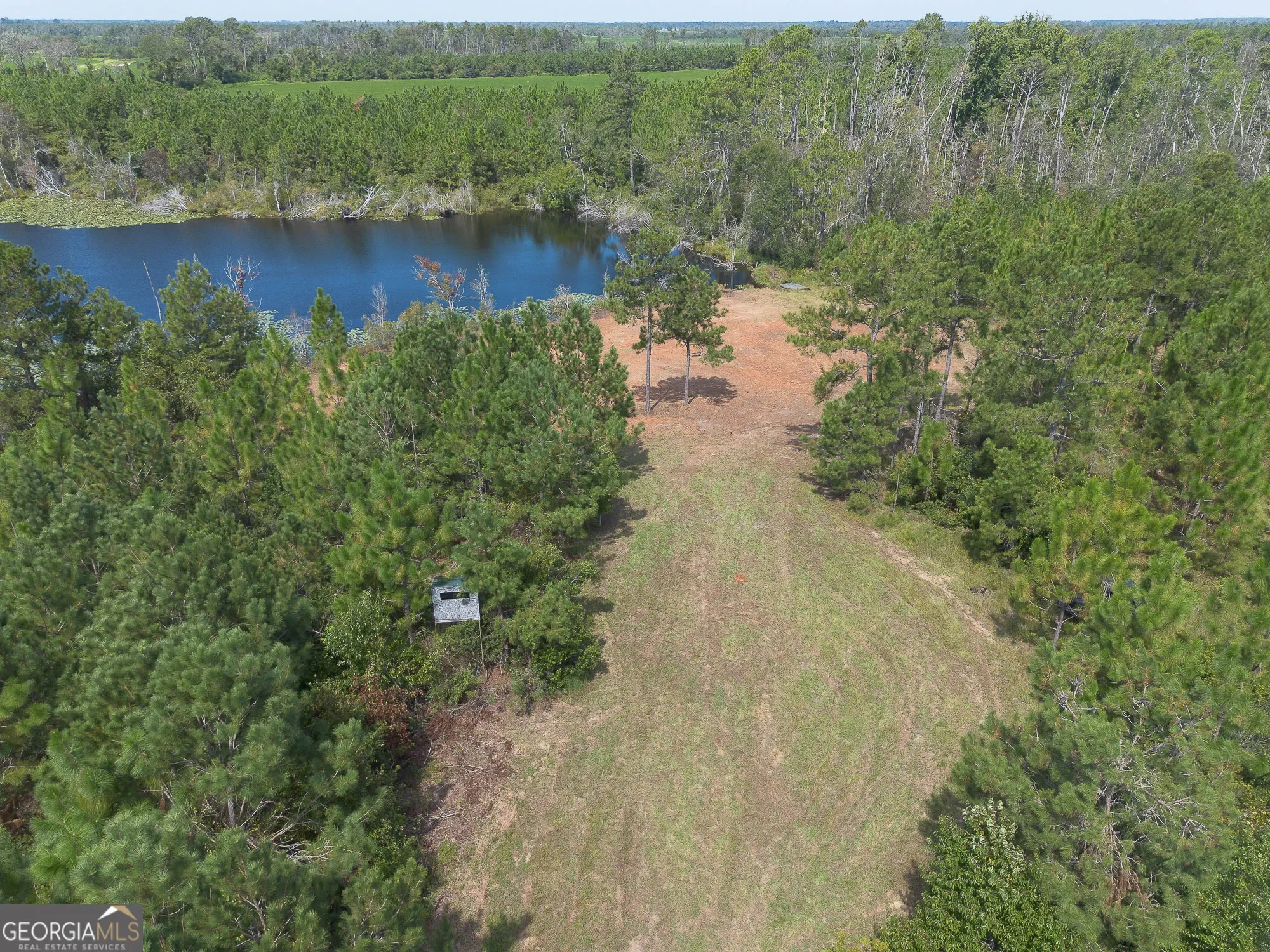 0 Rhonda Coleman, Hazlehurst, GA 31539, Hazlehurst, Georgia, United States. - Photo 2