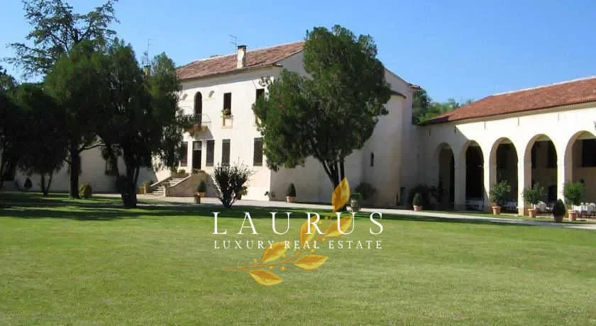 Gallery photo 11