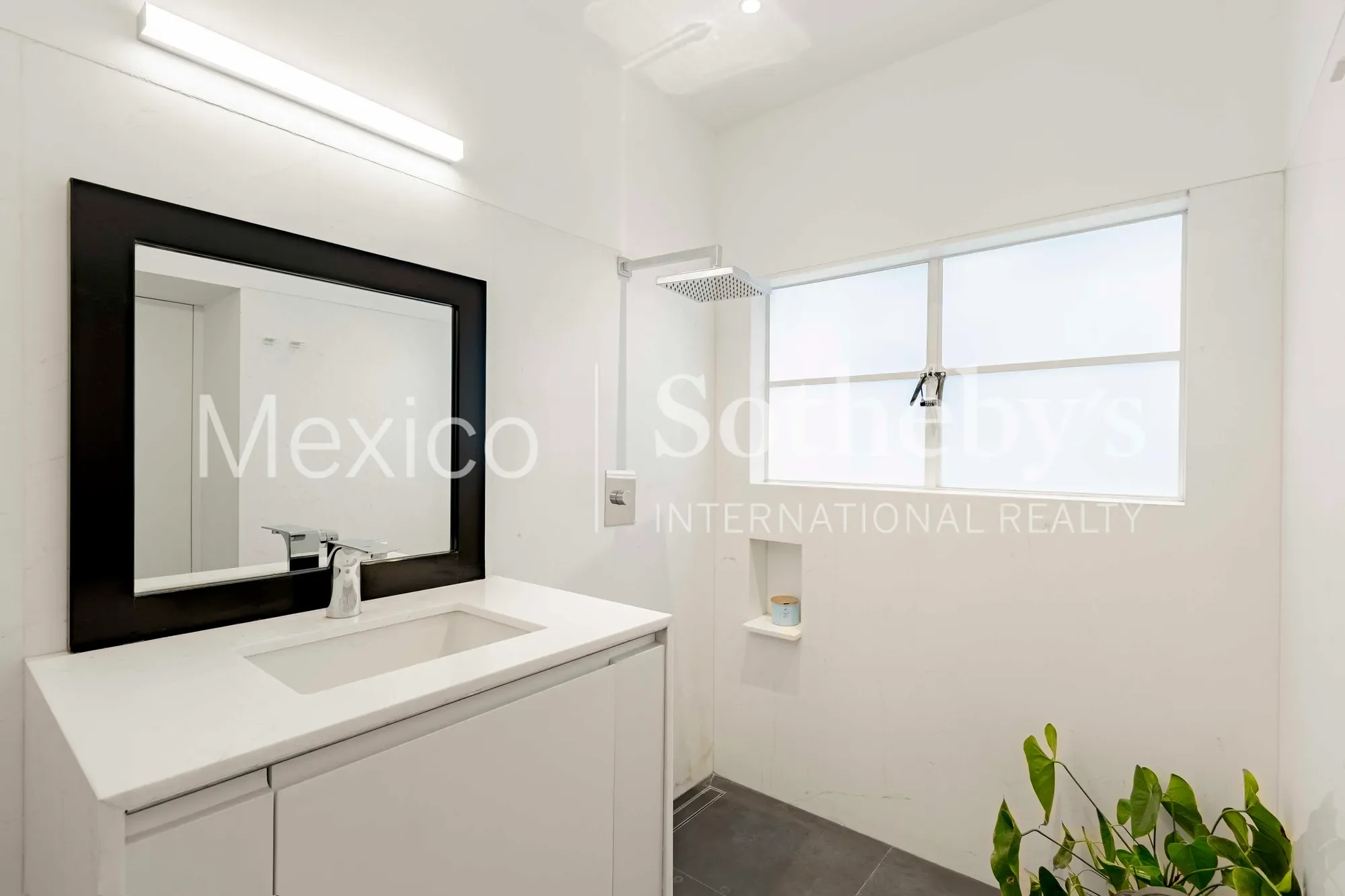 Gallery photo 7