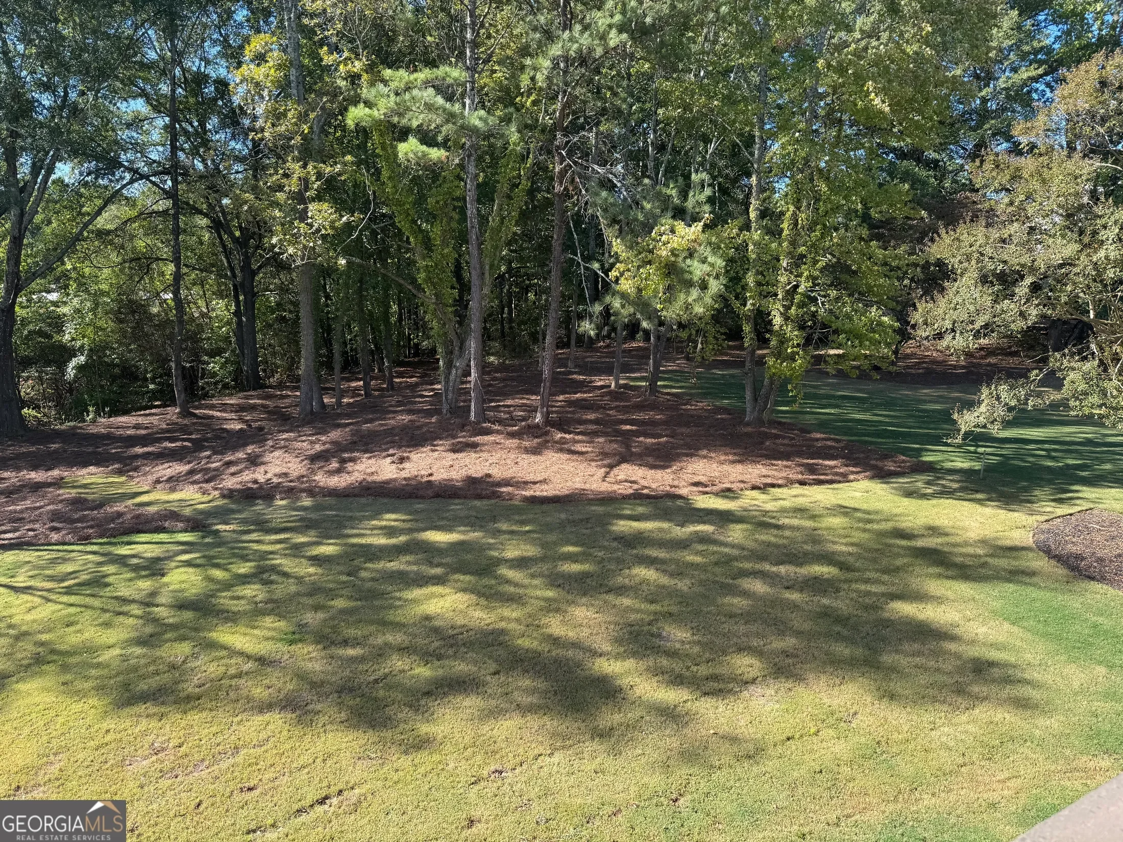 Buford, Georgia, United States. - Photo 110