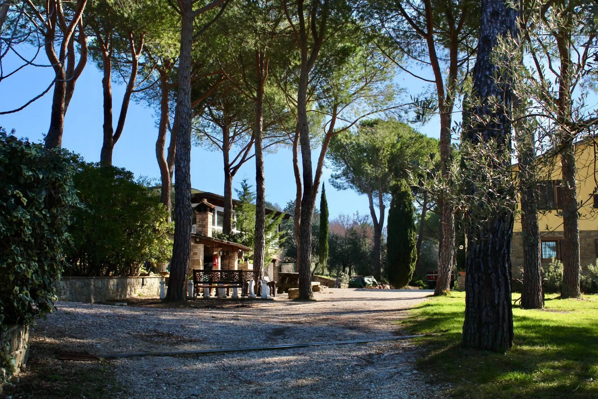 Assisi, San Damiano, Umbria, Italy. - Photo 20