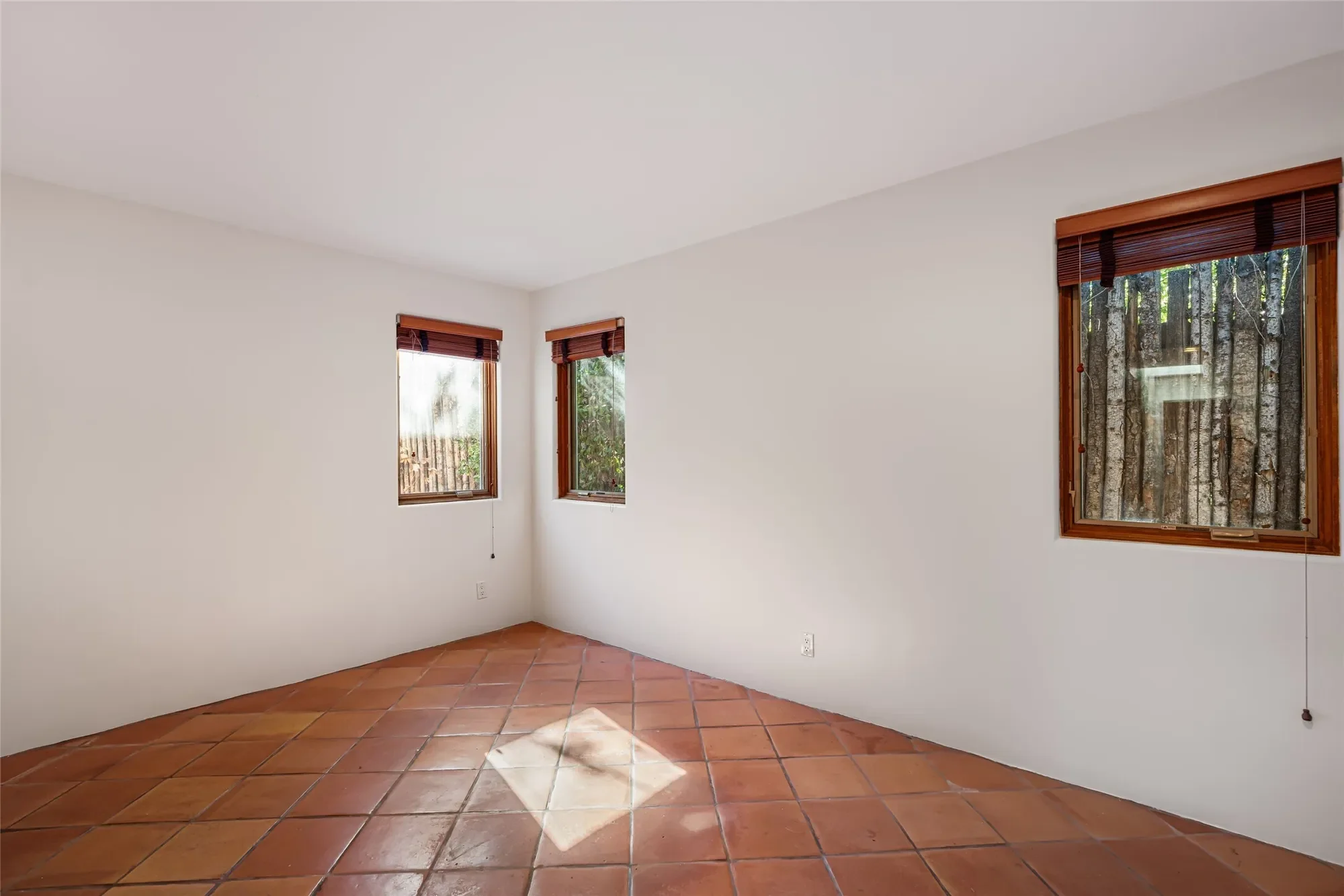 Gallery photo 11