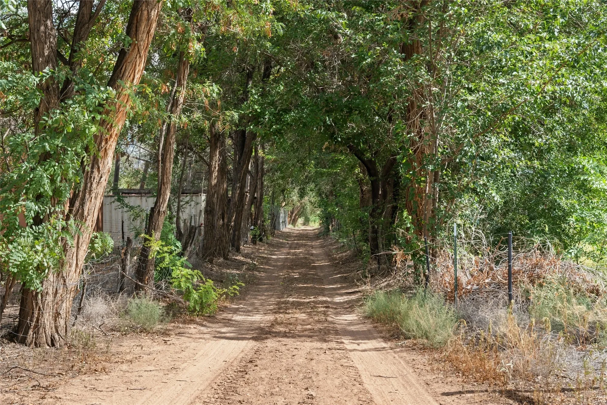 0 Wallace Lane, Corrales, NM 87048, Corrales, New Mexico, United States. - Photo 16