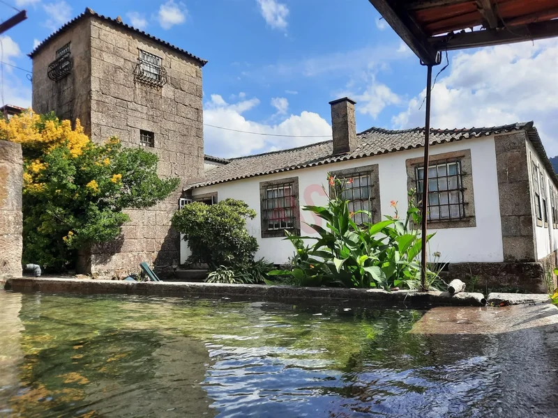 Farm T9 Sell in Roriz,Santo Tirso