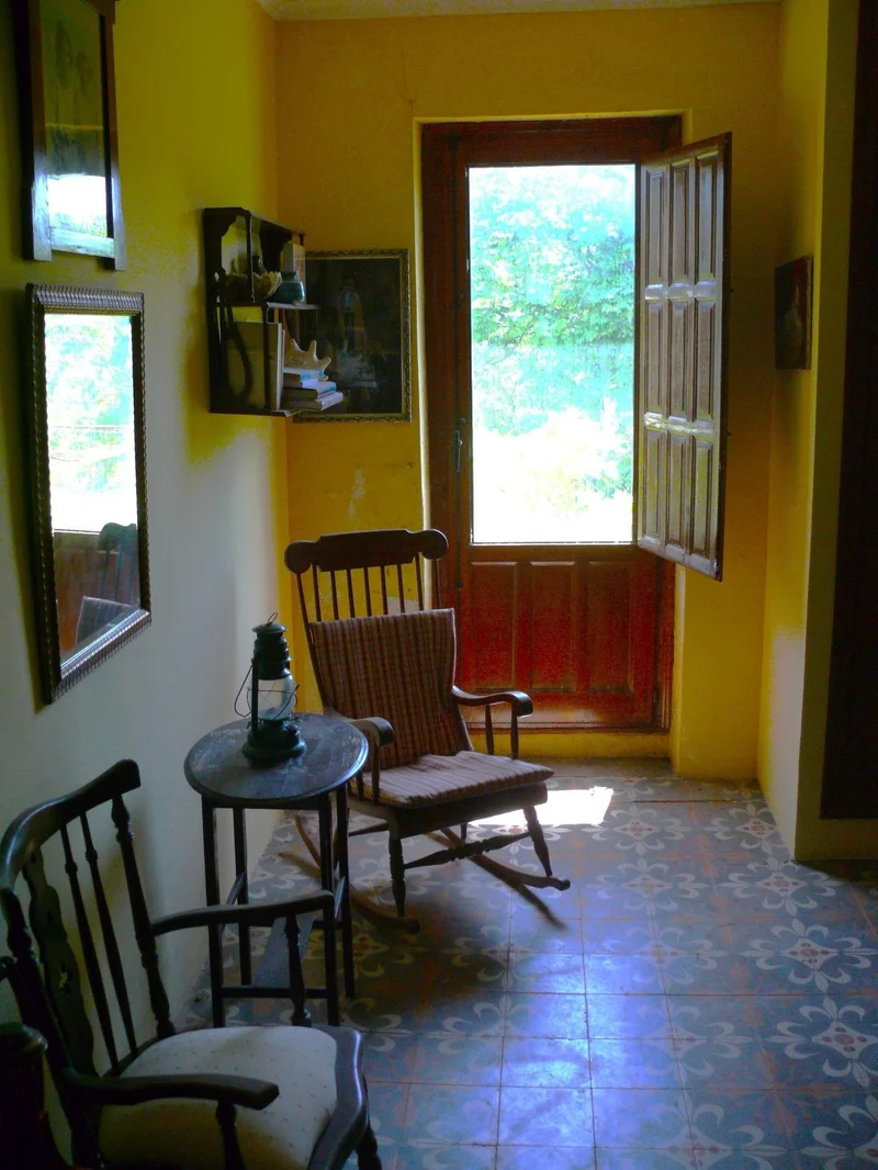 Vilella, Alzira, VALENCIA, Alzira, Alzira, Valencian Community, Spain. - Photo 30