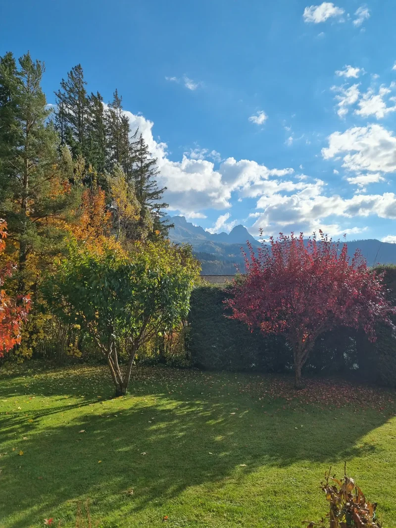 0, Barcelonnette, Provence-Alpes-Côte d'Azur, France. - Photo 7