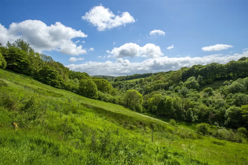 8 bedroom Detached House for sale in Somerset