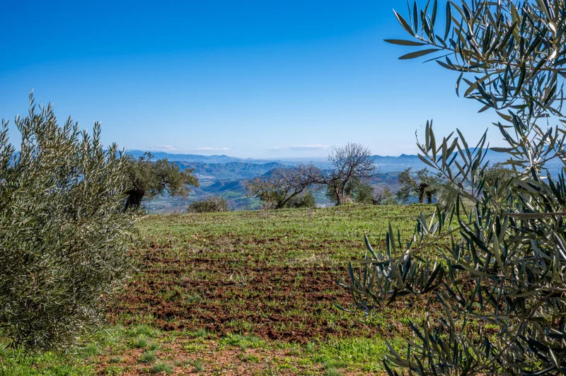 29566 Casarabonela, Málaga, Spain, Casarabonela, Andalusia, Spain. - Photo 55