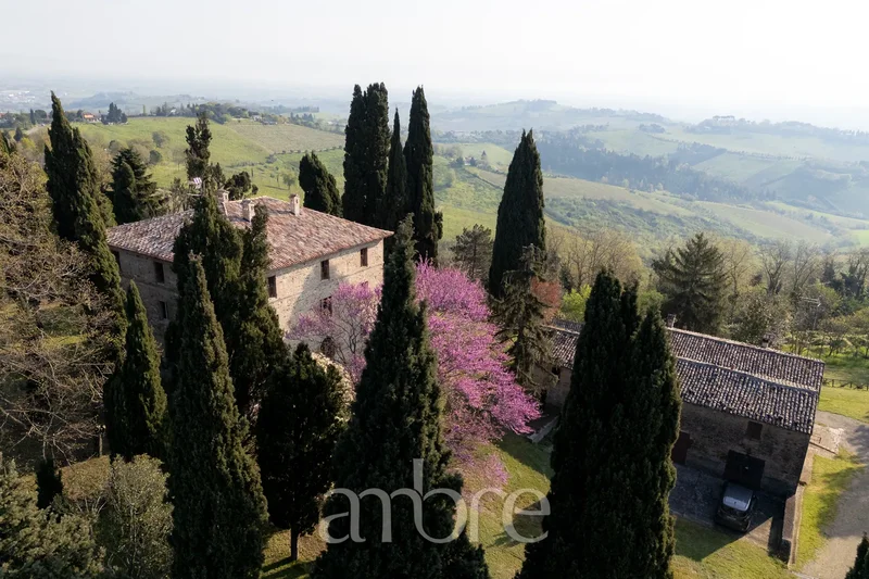 47032 Bertinoro, Province of Forlì-Cesena, Italy, Bertinoro, Emilia-Romagna, Italy. - Photo 21