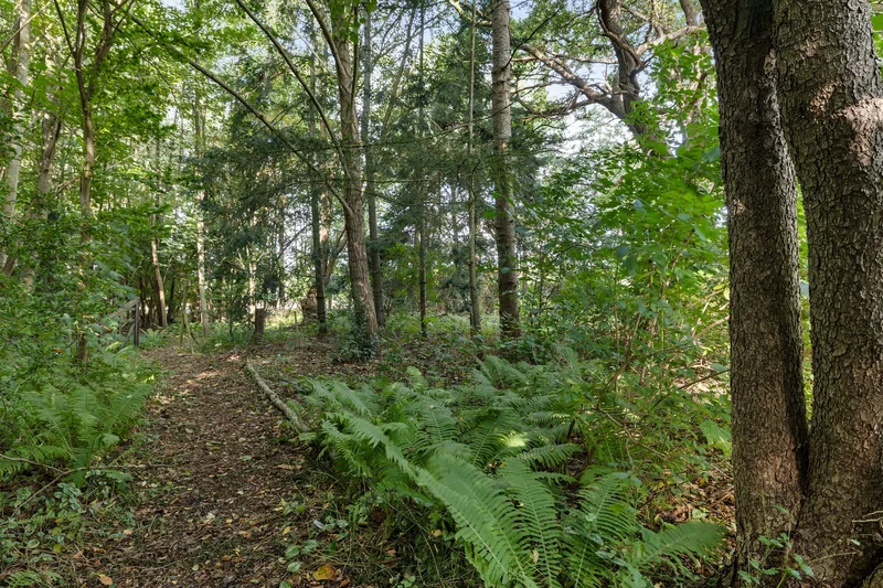 Hanetangerweg 6, Ter Apel, Groningen, Netherlands. - Photo 22