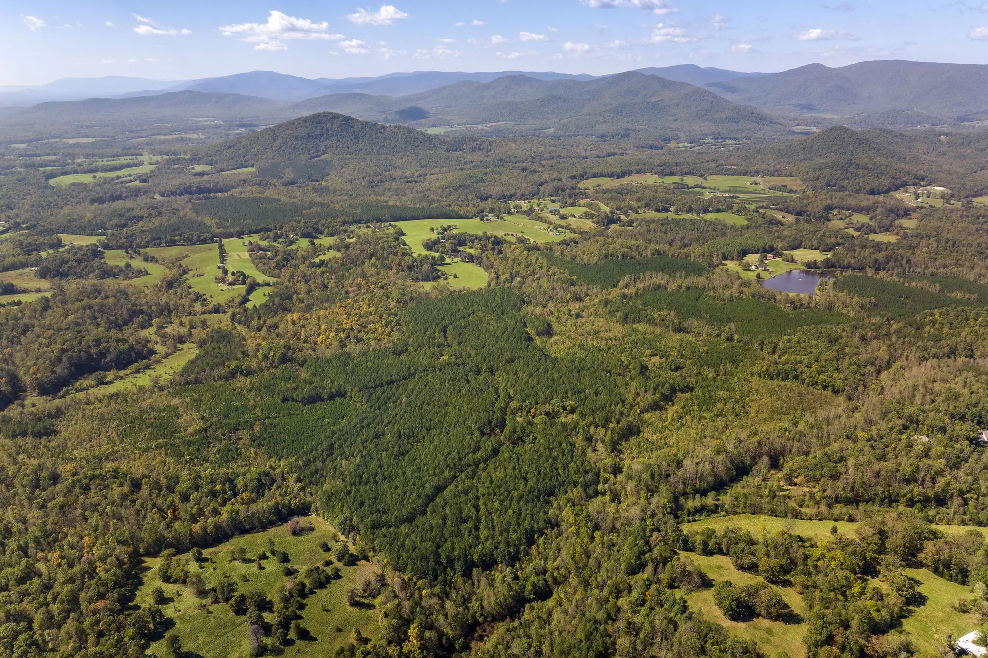 955 Simmons Gap Rd, Dyke, VA 22935, Dyke, Virginia, United States. - Photo 17