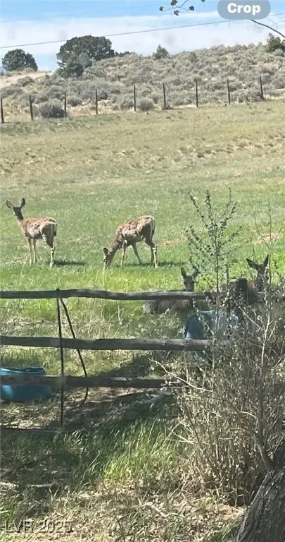 13300 Willard Creek Ranch Road, Osceola, Nevada, United States. - Photo 9